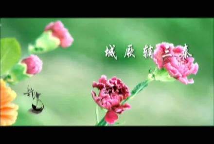成都新津